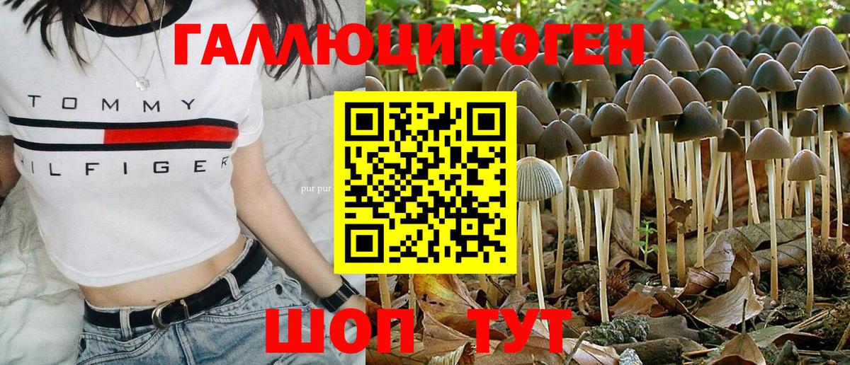 Галлюциногенные грибы ЛСД  Вход с VPN  Галлюциногенные грибы Psilocybine cubensis  Ейск 