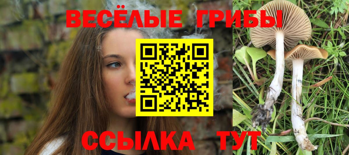 Псилоцибиновые грибы GOLDEN TEACHER Ейск